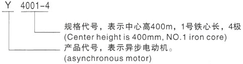 西安泰富西玛Y系列(H355-1000)高压YRKK3552-4三相异步电机型号说明