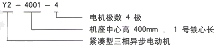 YR系列(H355-1000)高压YRKK3552-4三相异步电机西安西玛电机型号说明